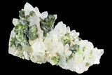 Lustrous, Epidote Crystal Cluster with Quartz - Morocco #84331-1